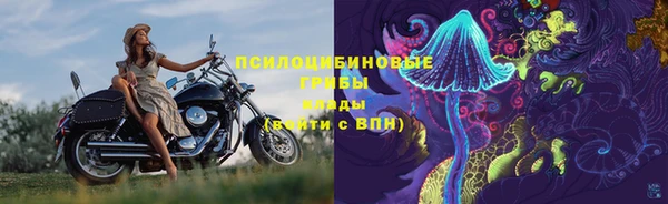 спайс Майский