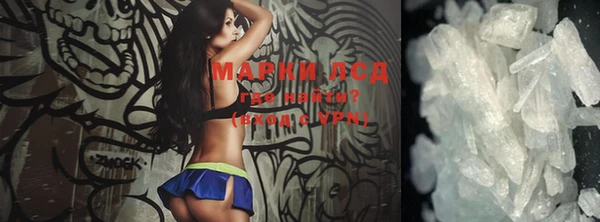 шишки Магас