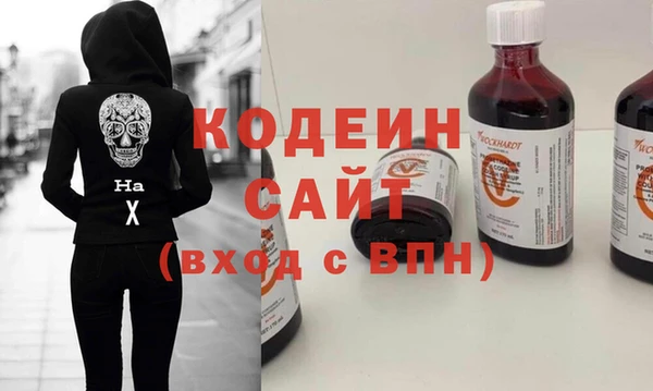 шишки Магас