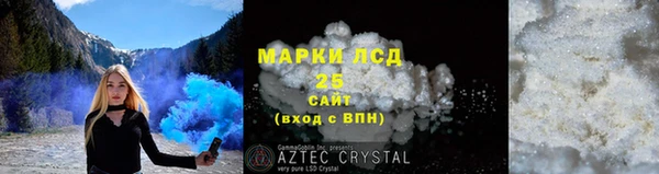 шишки Магас