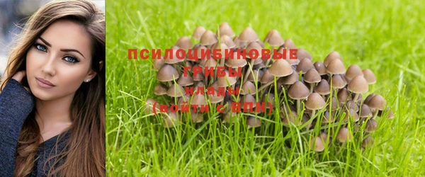 спайс Майский