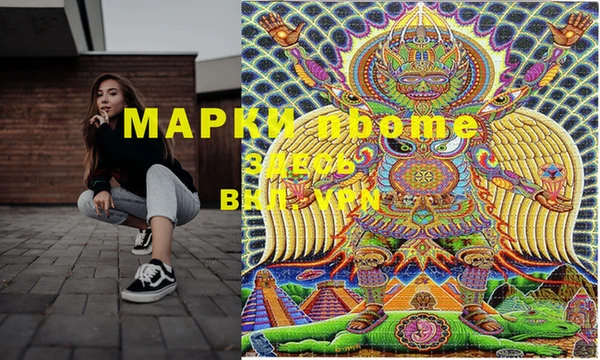 шишки Магас