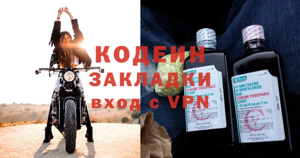 шишки Магас