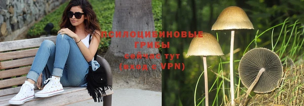 шишки Магас
