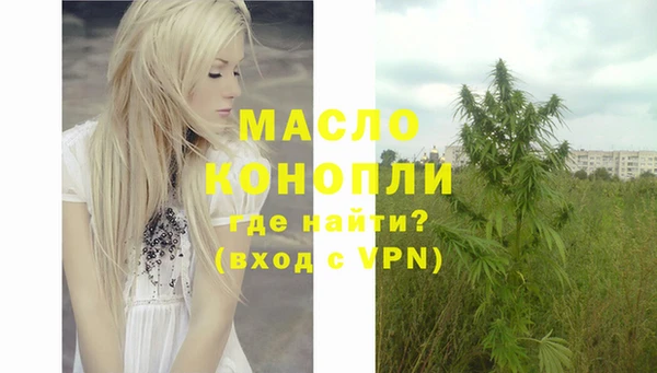шишки Магас