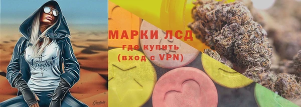 шишки Магас