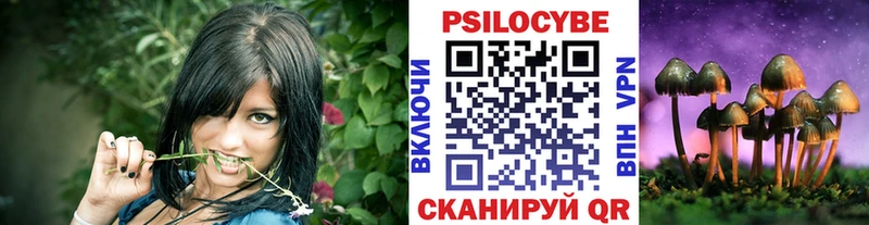 Галлюциногенные грибы мицелий  Купить  Чишмы 